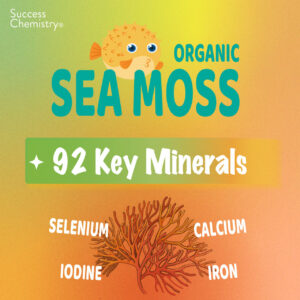 Organic Irish Sea Moss Supplement Capsules for Super Immune Support by Success Chemistry - 60 Capsules - Image 4