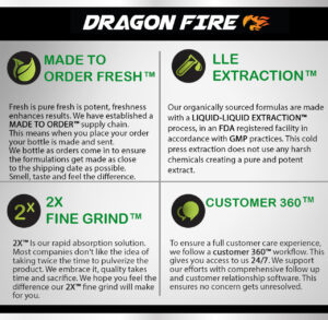 Dragon FIRE E-Sports Supplement - Boost Energy, Focus & Endurance for Gamers - 60 Capsules - Image 3