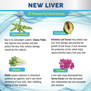 New Liver by Success Chemistry featuring 21 powerful nutrients, including Chanca Piedra, Artichoke, Alfalfa, and Yarrow, known for their liver health benefits.