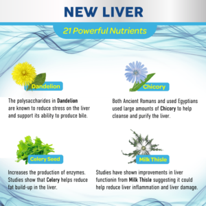 New Liver by Success Chemistry featuring 21 powerful nutrients, including Dandelion, Chicory, Celery Seed, and Milk Thistle, promoting liver health and detoxification.